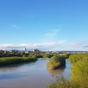 https://apartamento-san-pedro-corredera.es-andalucia.com