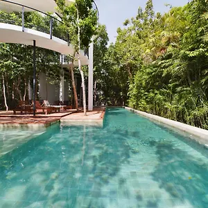 https://new-private-pool-jacuzzi-luxury-4br-jungle-tulum.tulum-hotels.net