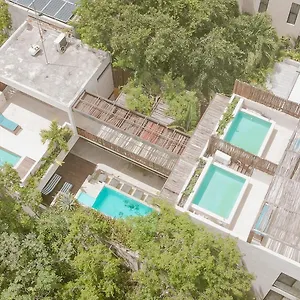 https://villa-maracuya-villa-with-3-jacuzzi-private-pool-chef-and-spa.tulum-hotels.net